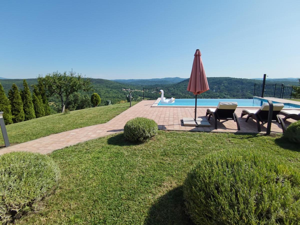 Home Andrea With Infinity Salty Pool Roč エクステリア 写真