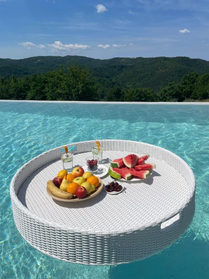 Home Andrea With Infinity Salty Pool Roč エクステリア 写真