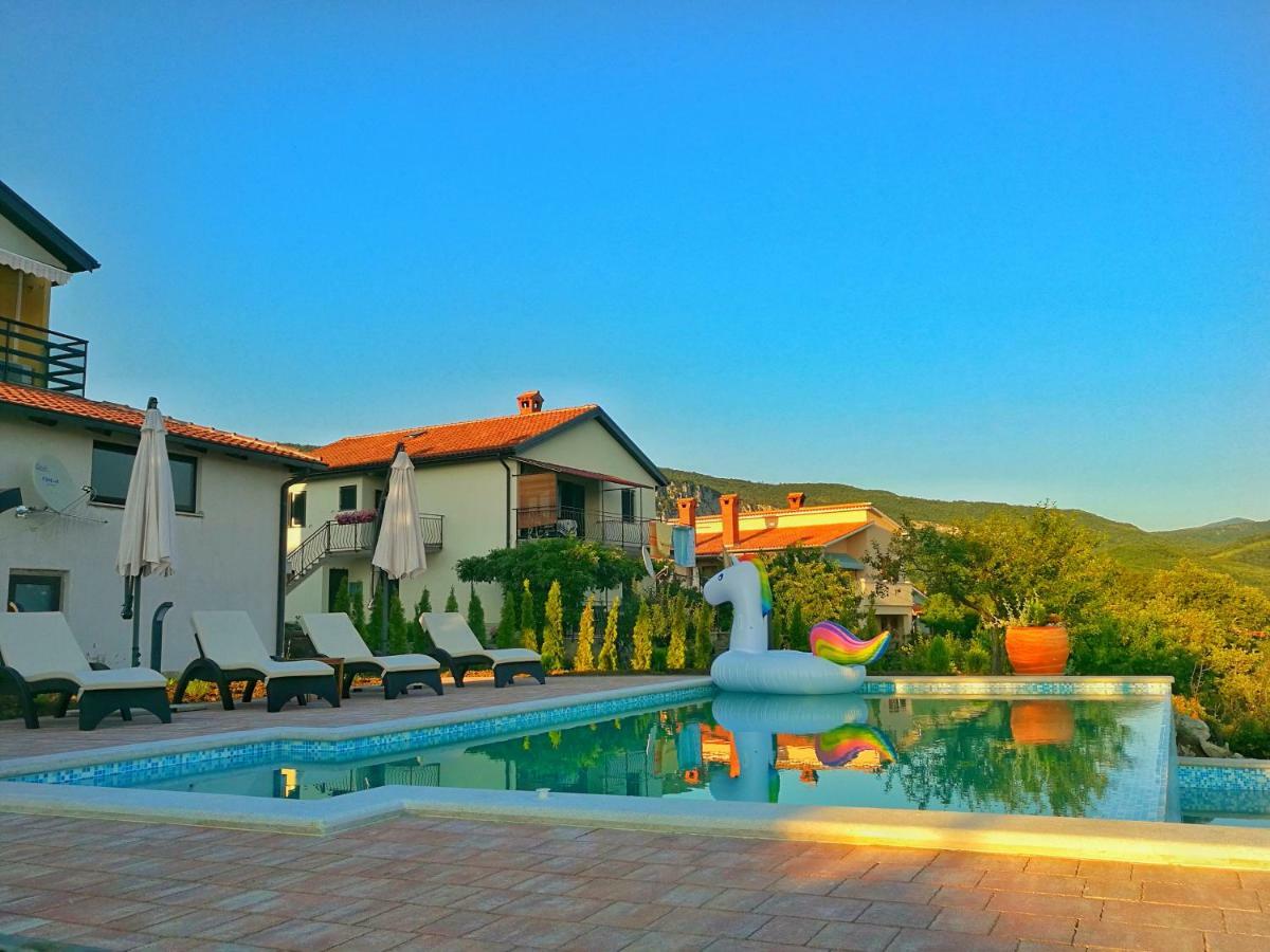 Home Andrea With Infinity Salty Pool Roč エクステリア 写真
