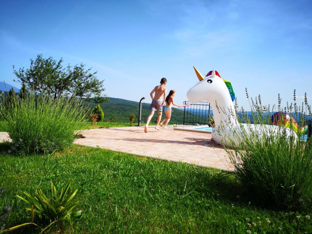 Home Andrea With Infinity Salty Pool Roč エクステリア 写真