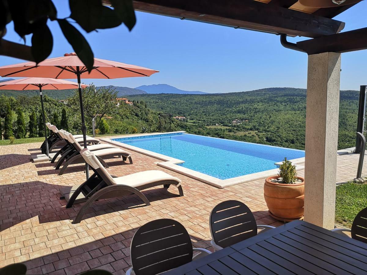 Home Andrea With Infinity Salty Pool Roč エクステリア 写真