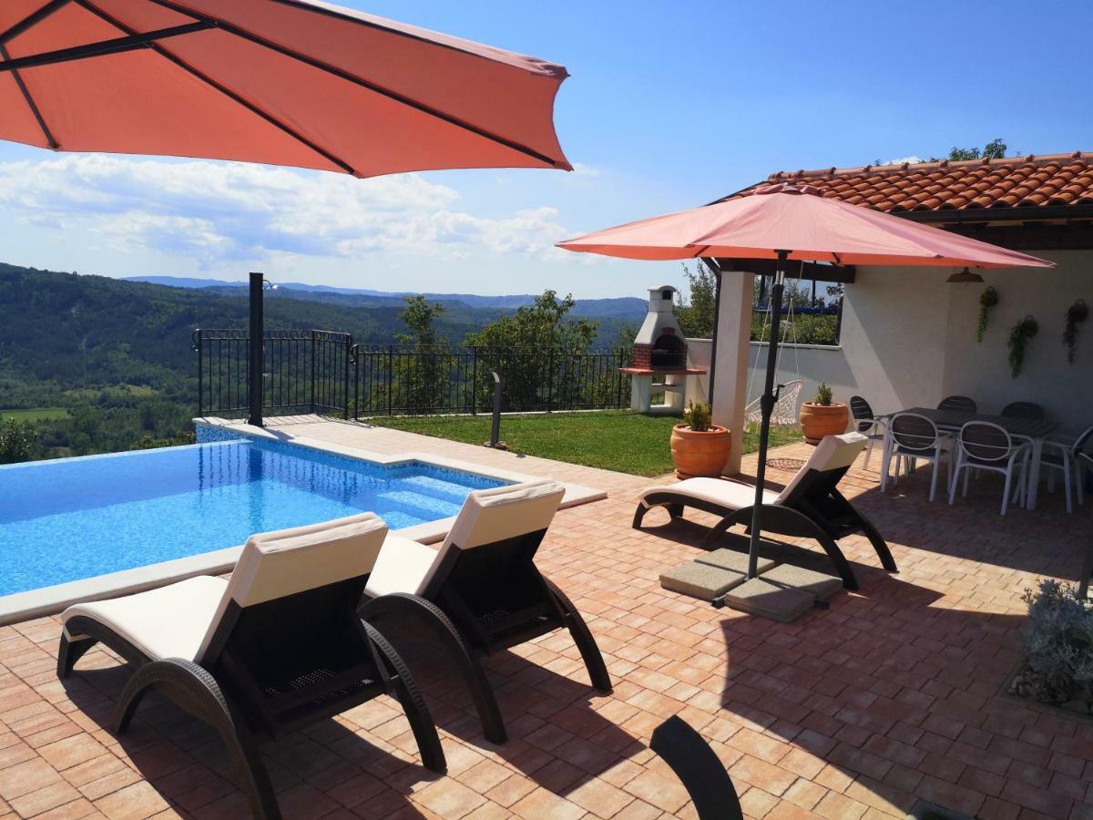 Home Andrea With Infinity Salty Pool Roč エクステリア 写真