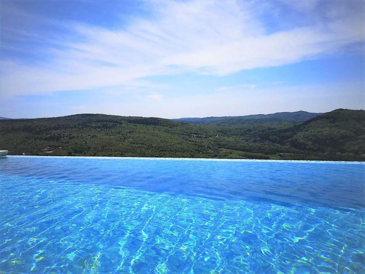 Home Andrea With Infinity Salty Pool Roč エクステリア 写真